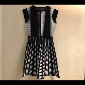 Beautiful Zara Black & White Stretchy Dress